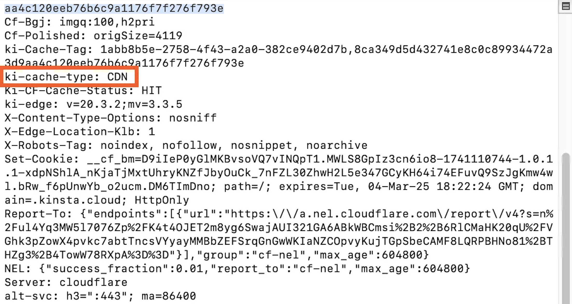 ターミナルで静的アセットへのcurlに応答するキャッシュステータス