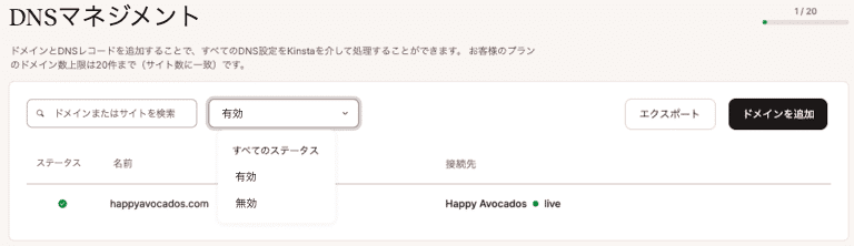 MyKinstaのDNS画面でドメインをフィルタリング