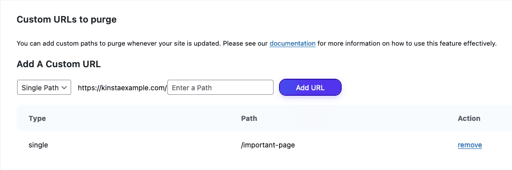 Percorso singolo URL personalizzato in Kinsta Cache.