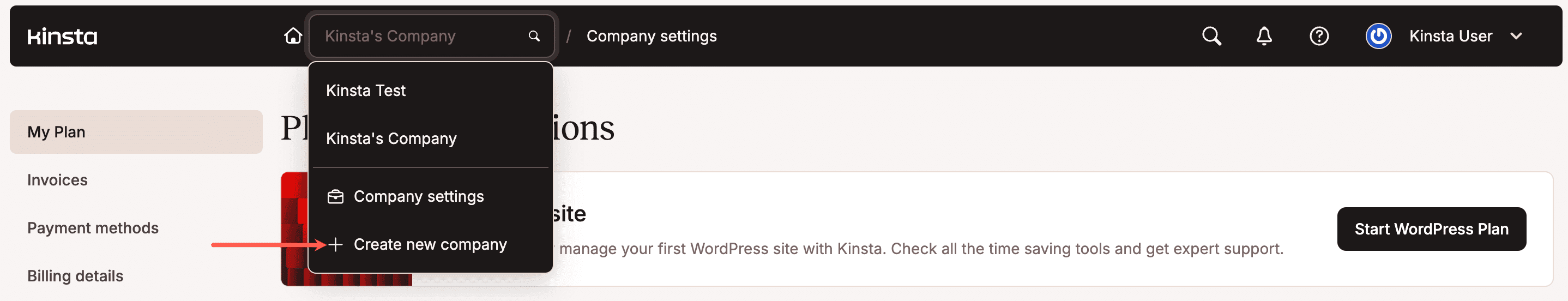 Erstelle ein neues Unternehmen in MyKinsta