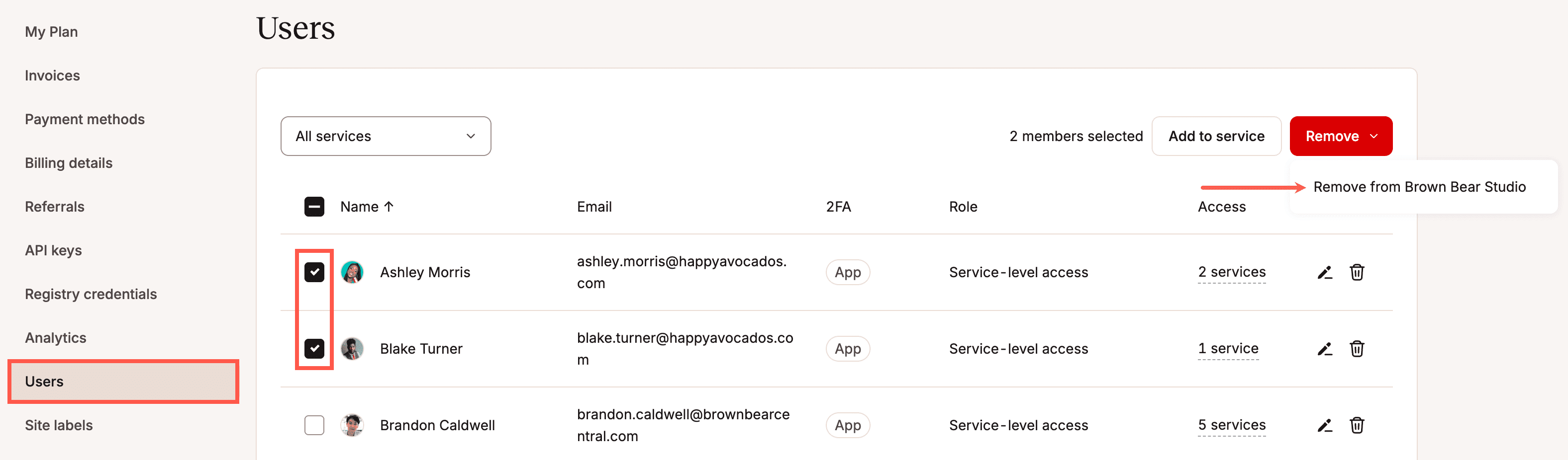 Remova vários usuários de uma empresa no MyKinsta.