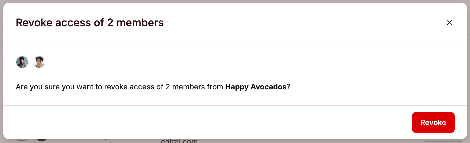 Confermare la revoca dell'accesso dell'utente a un sito in MyKinsta.