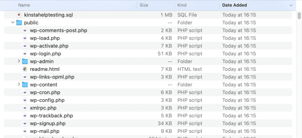 Sieh dir ein entpacktes, herunterladbares Backup von MyKinsta an