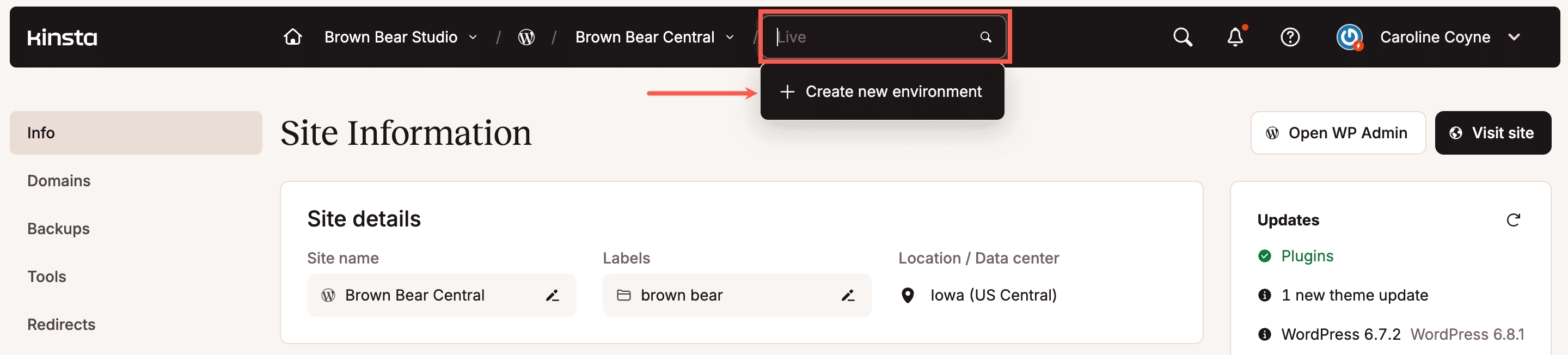 Create a new staging environment in MyKinsta.