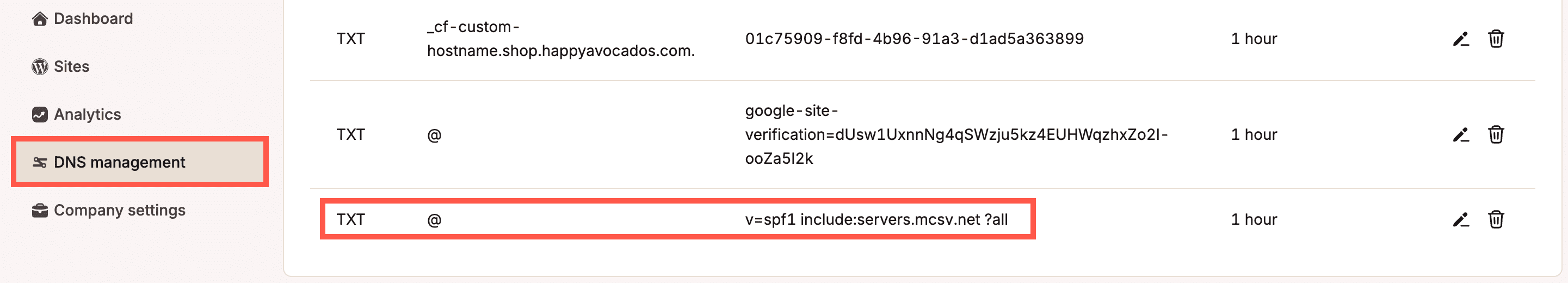 Un record TXT SPF nel DNS di Kinsta.