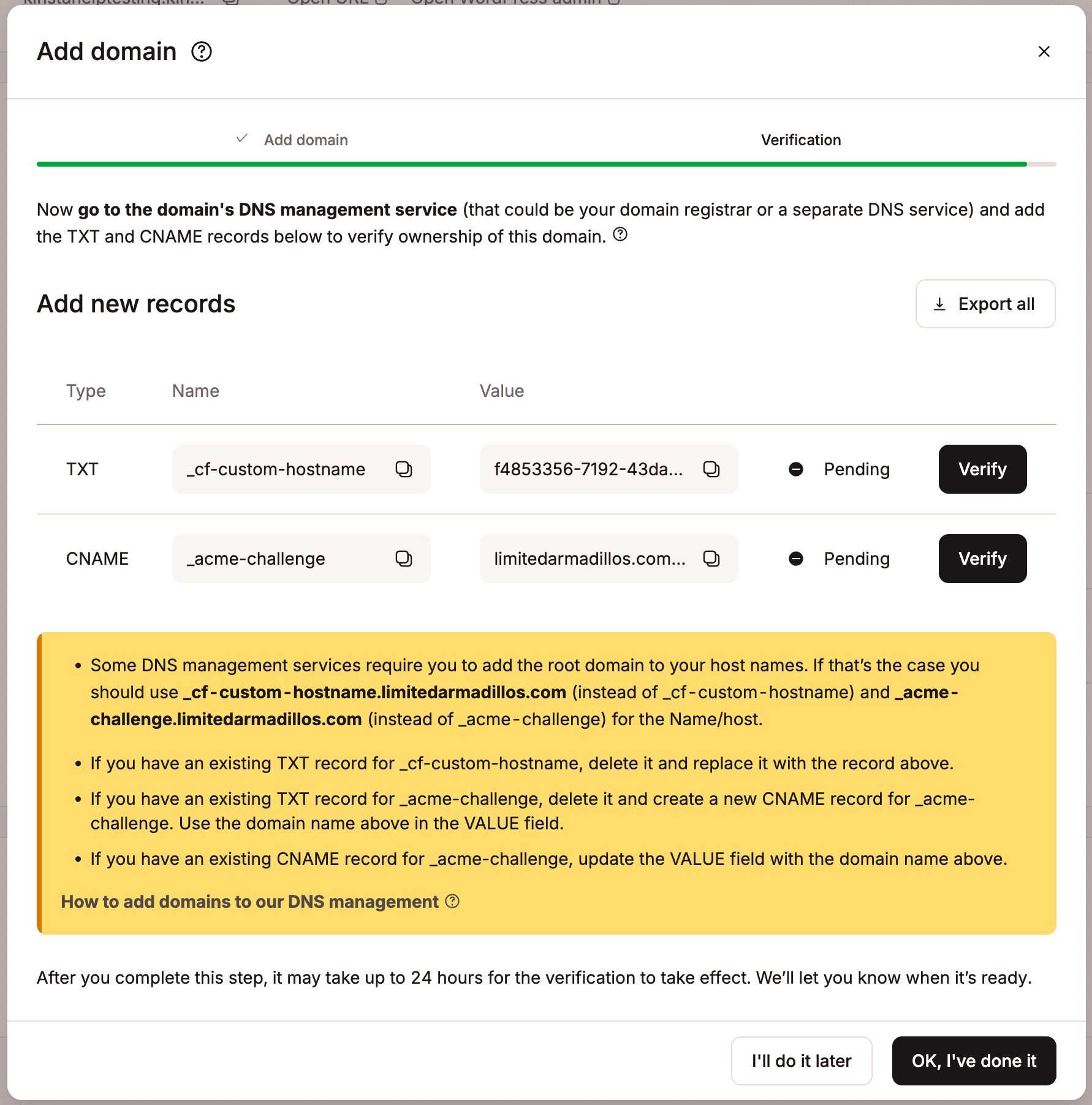 Enregistrements DNS dans MyKinsta pour vérifier votre domaine.