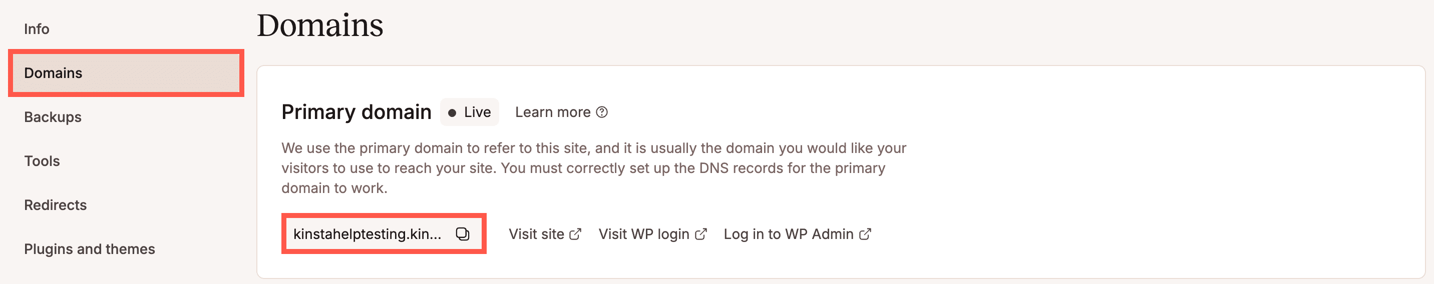 Kinsta temporary URL.
