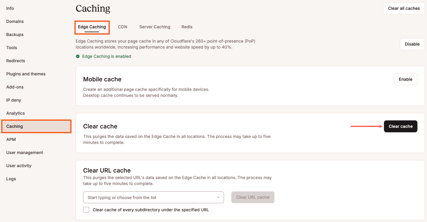 Lösche den Cache in MyKinsta.