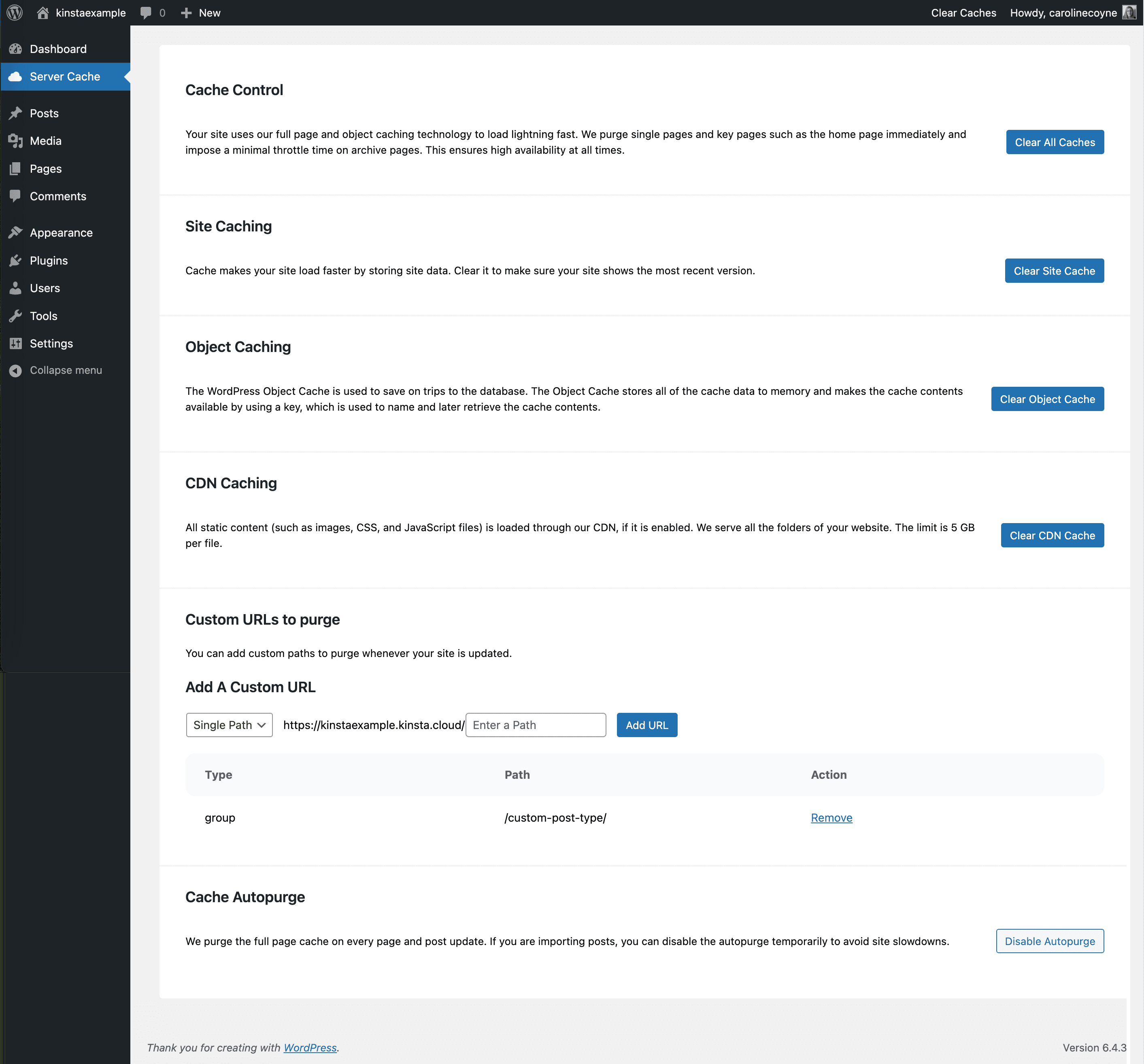 Após aplicar white labeling ao plugin Kinsta MU no seu painel do WordPress.
