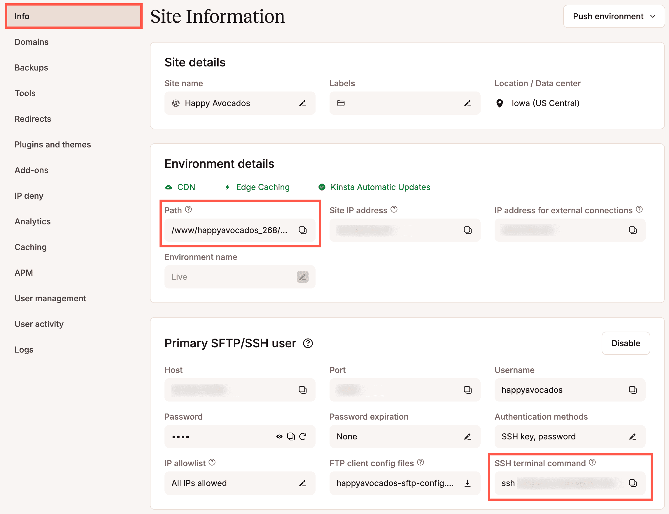 Path and SSH terminal command in MyKinsta.