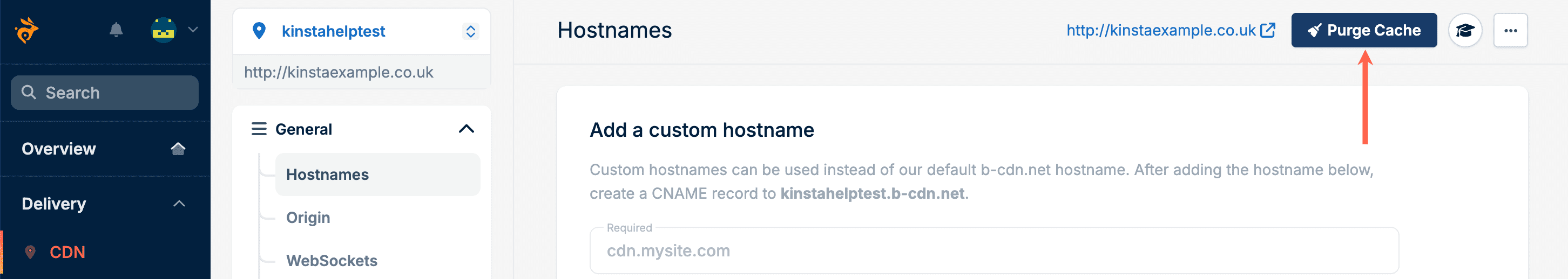 Você pode limpar o cache do CDN no painel da Bunny.
