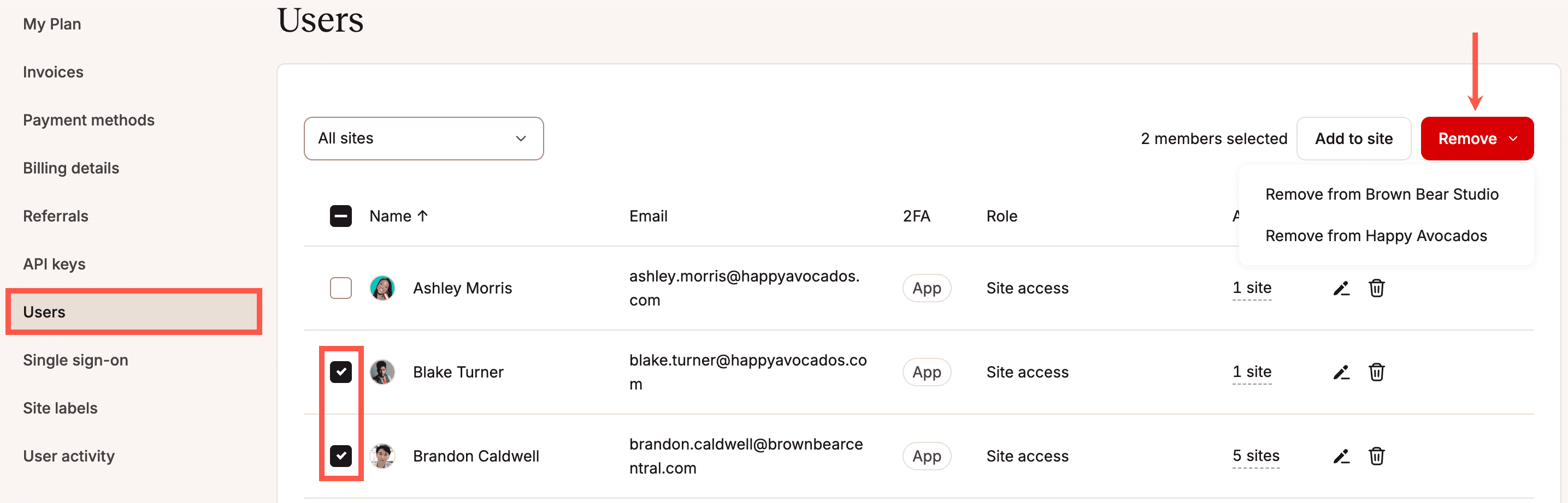 Select and remove multiple users from a site in MyKinsta.