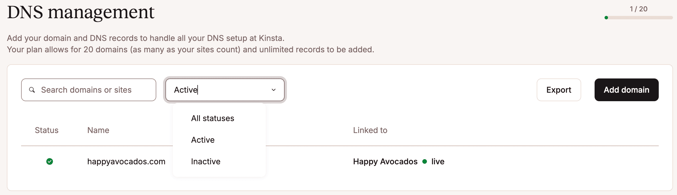 Filtra i tuoi domini all'interno del DNS di Kinsta.