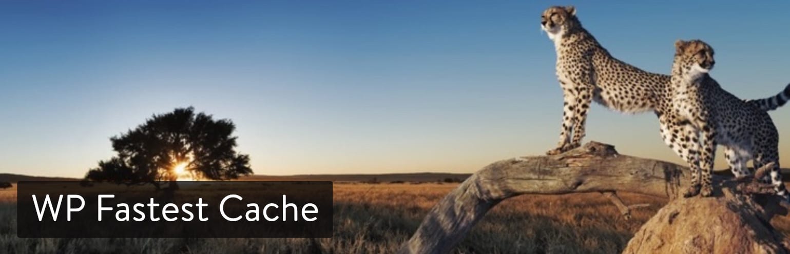 WP Fastest Cache Plugin