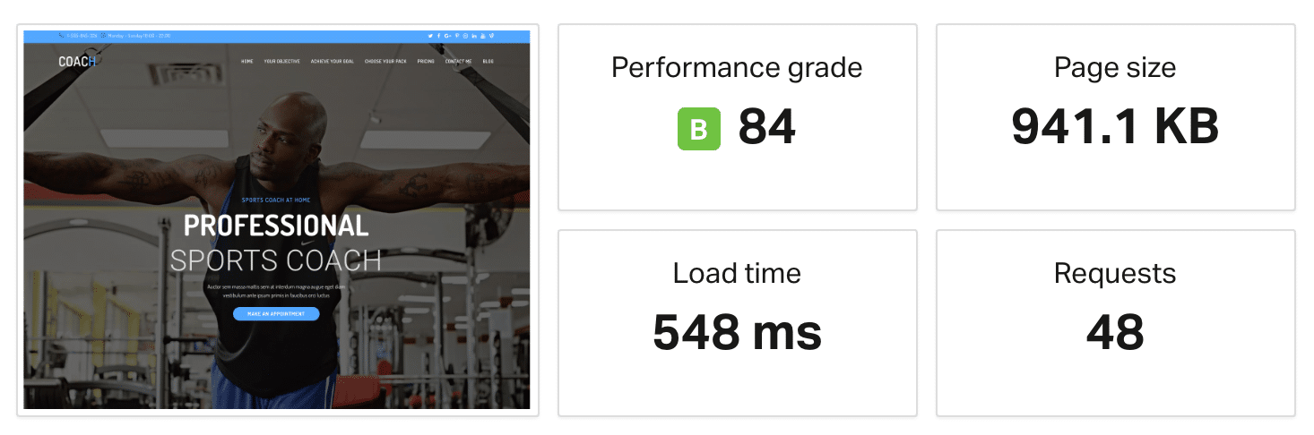 OceanWP komplette Webseite Geschwindigkeitstest
