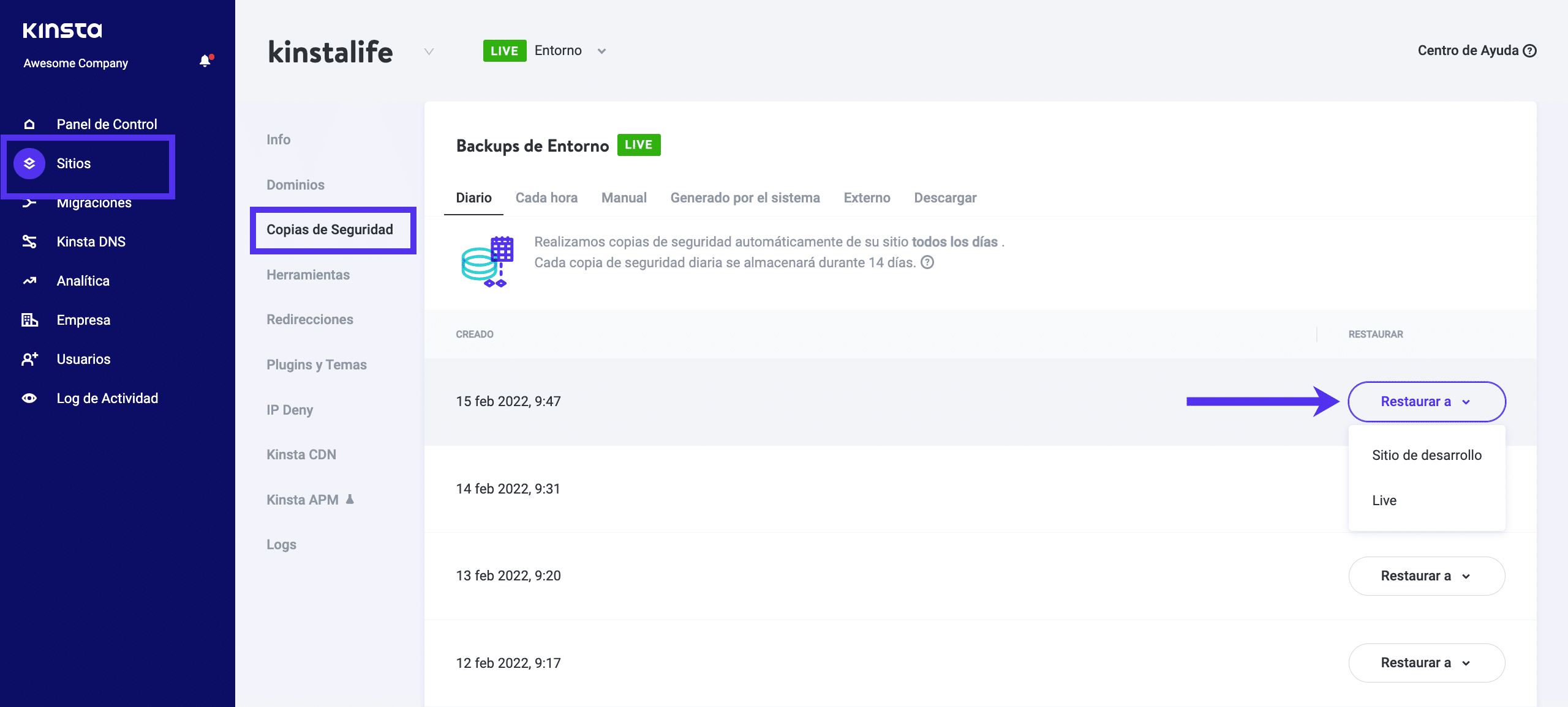 La función de copia de seguridad en MyKinsta