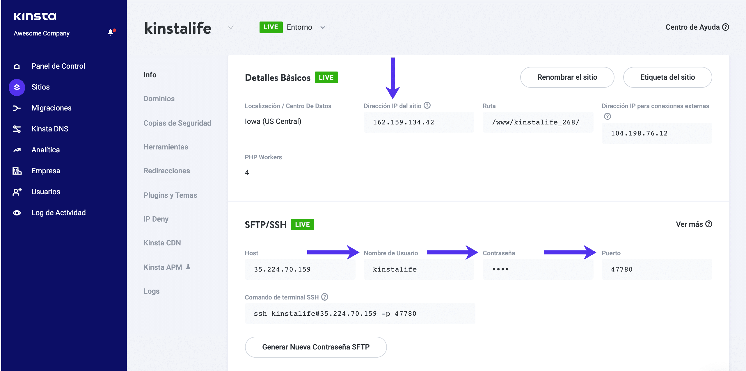 Obtenga sus datos SFPT en MYKinsta
