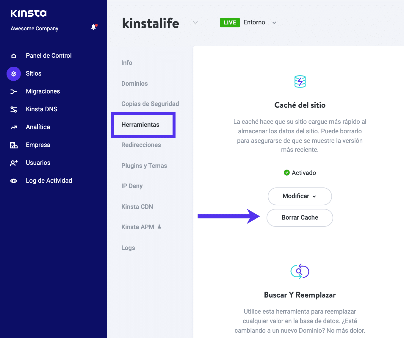 Limpiar la memoria caché en MyKinsta