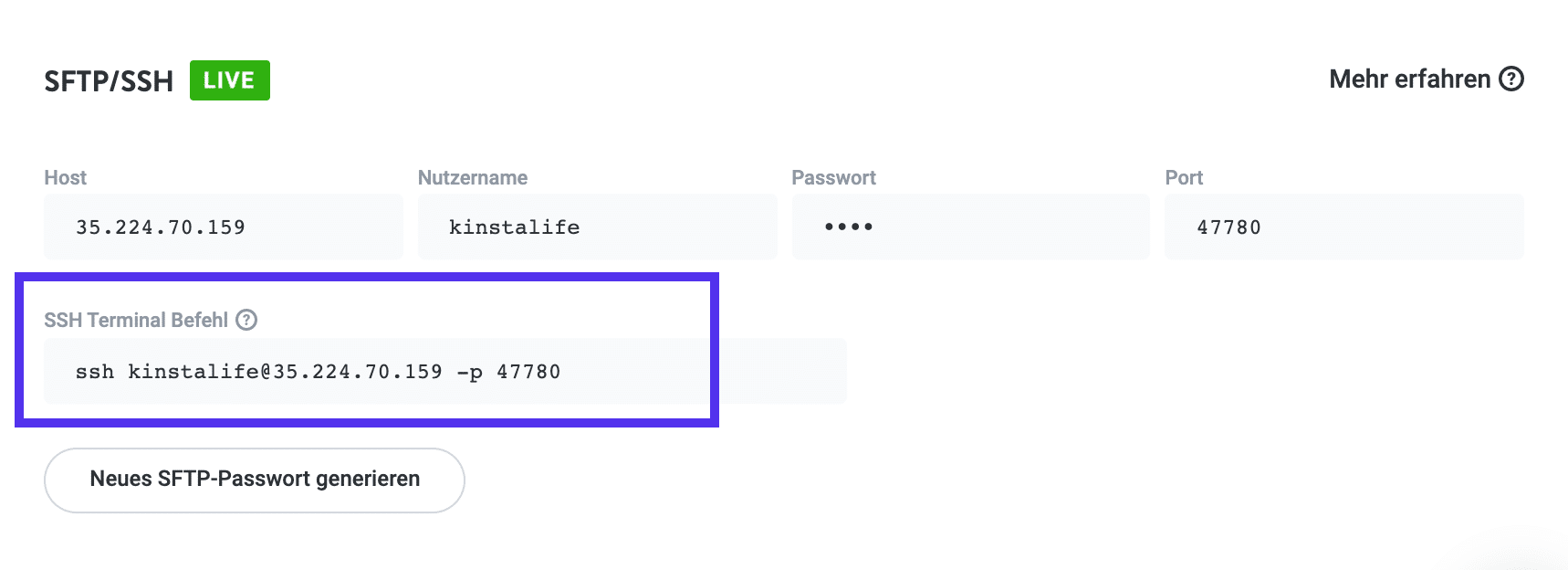 Detalles de MyKinsta SSH
