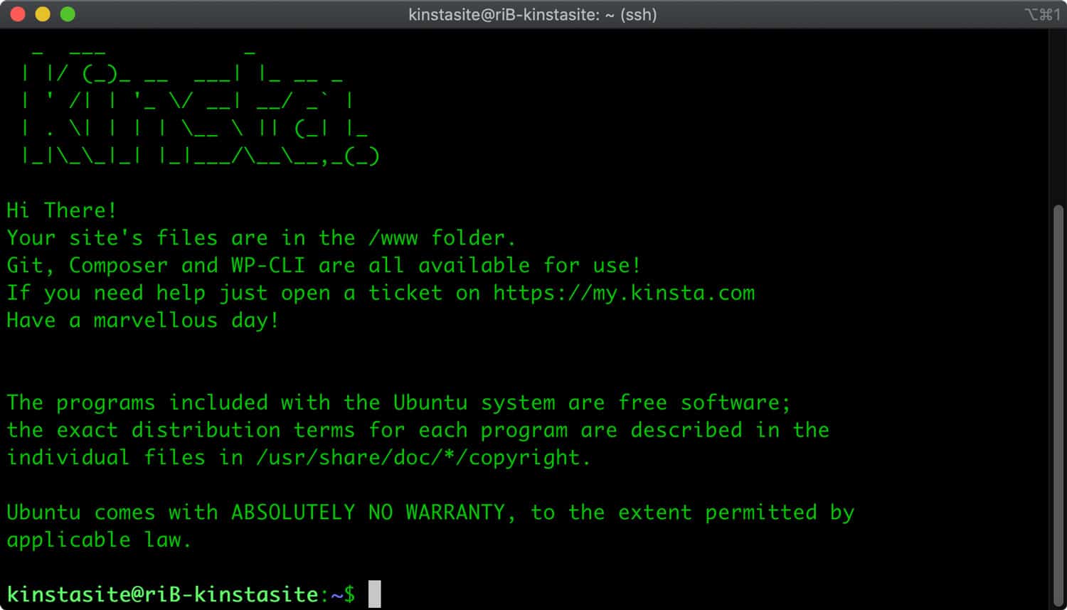 Ventana de la terminal SSH.