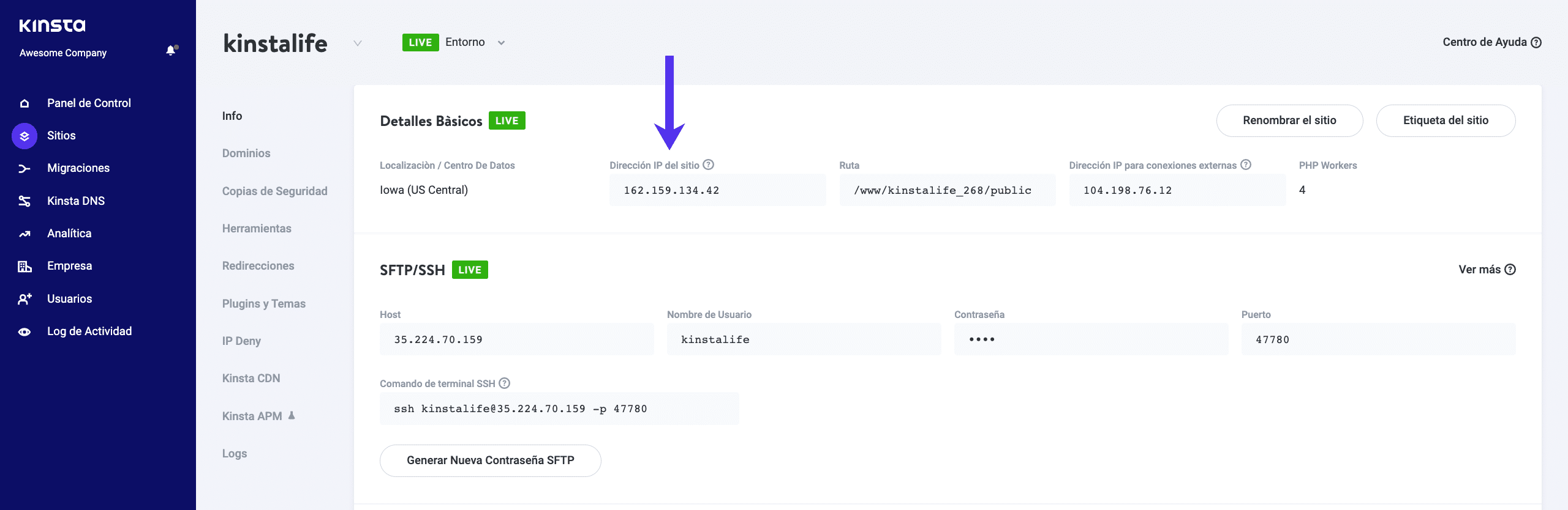 La dirección IP del sitio de WordPress en MyKinsta