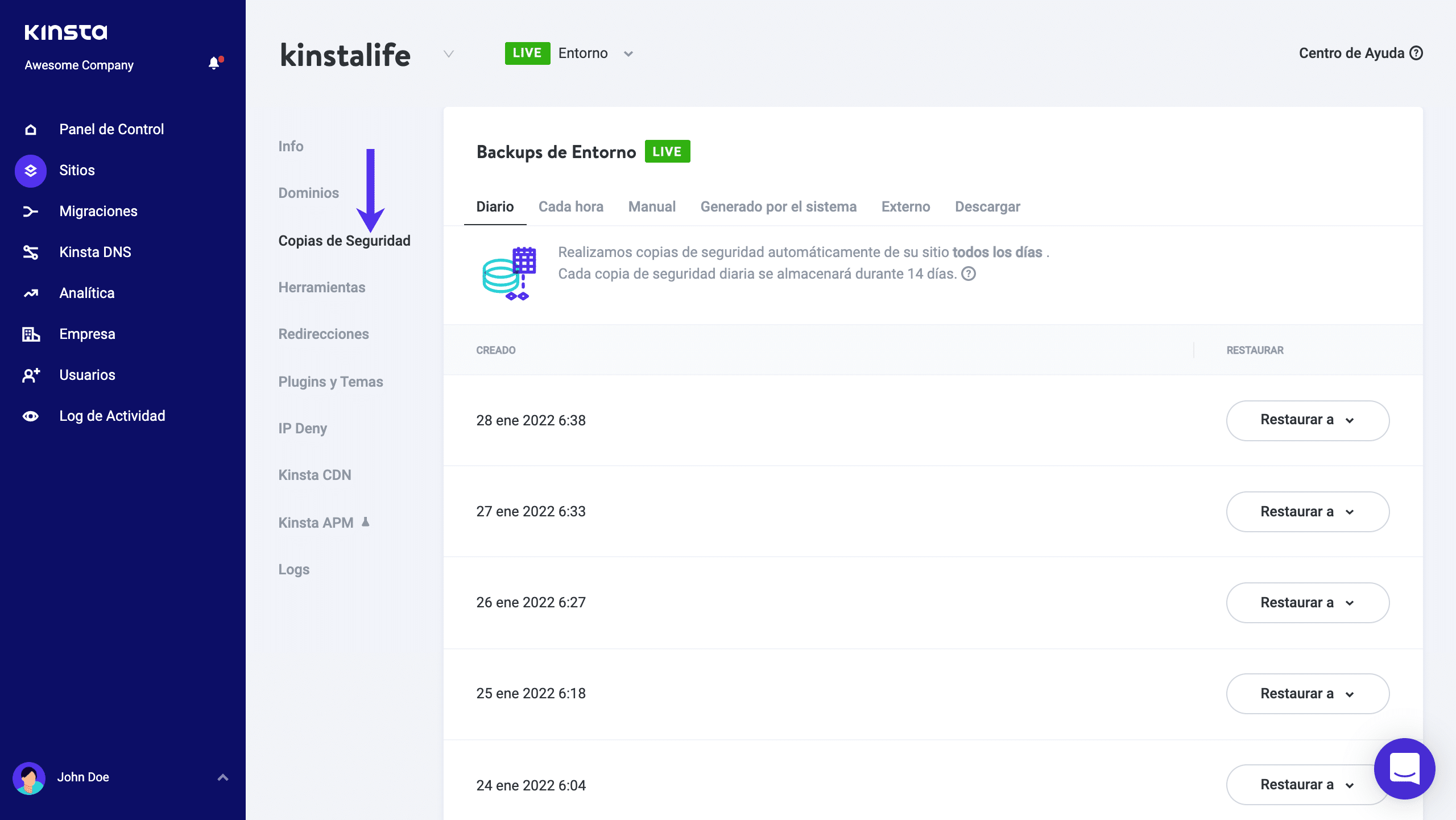Opciones de copia de seguridad en MyKinsta.