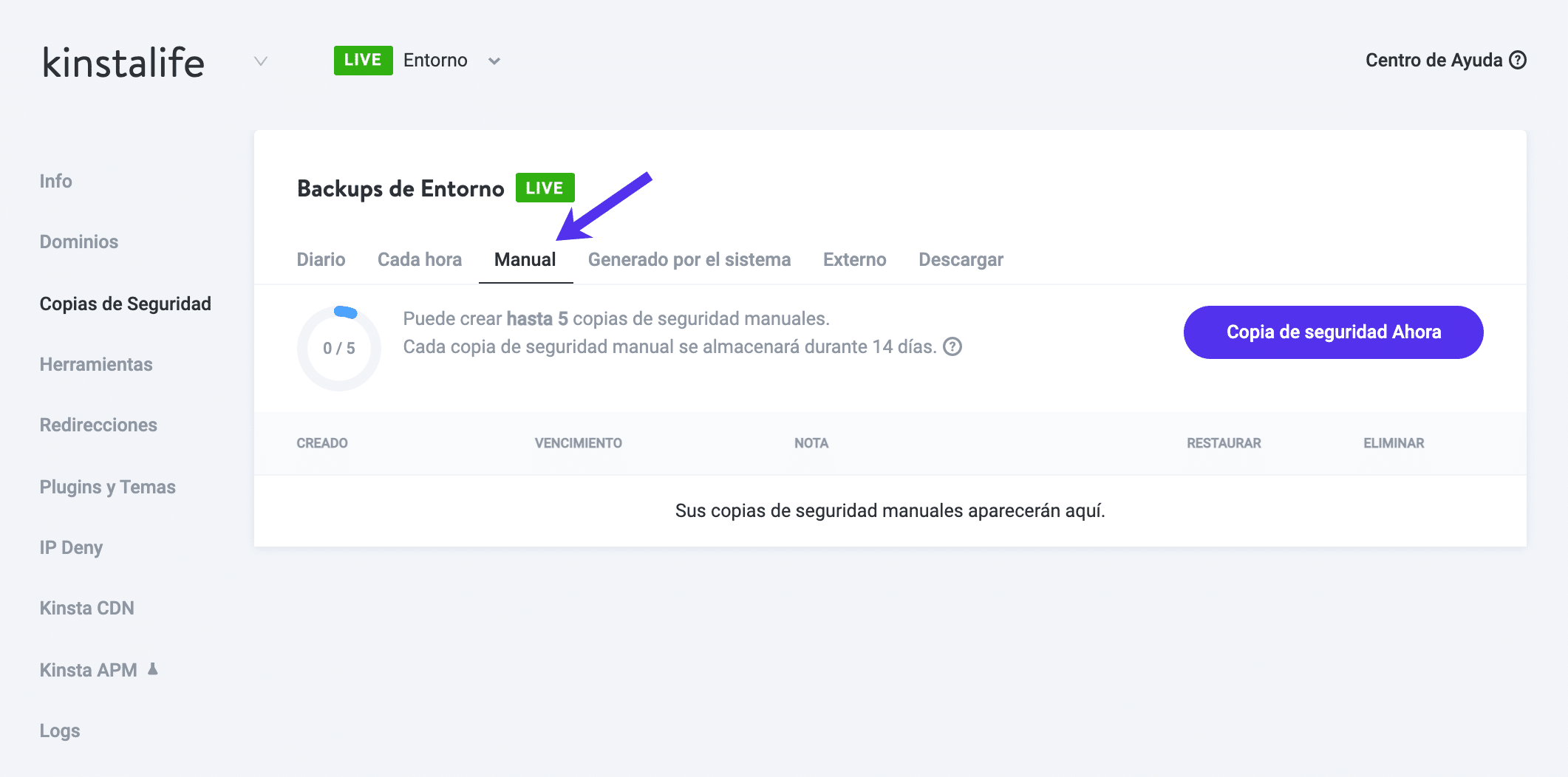 Copias de seguridad manuales en Kinsta.