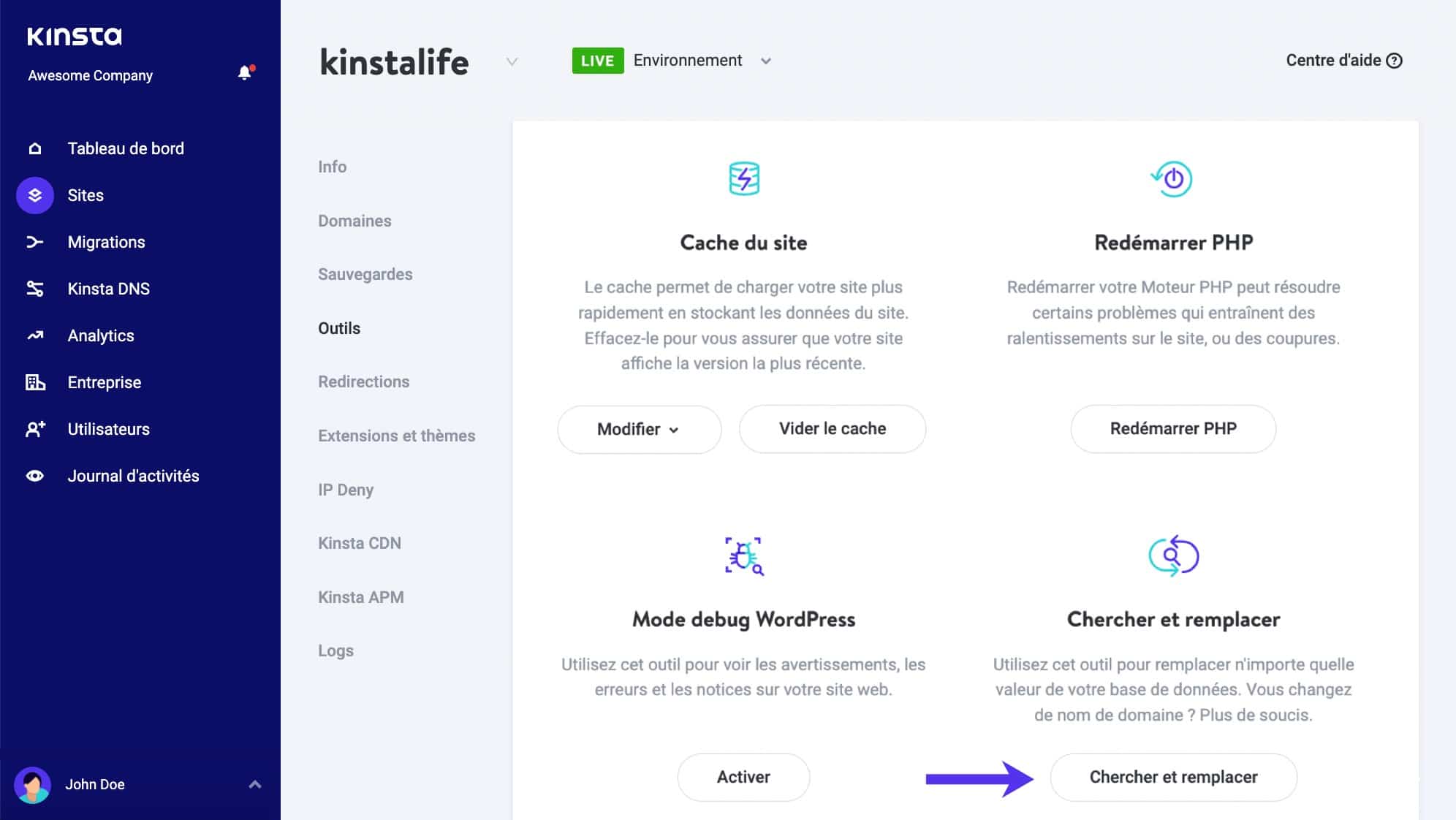 Outil de recherche et remplacement de Kinsta