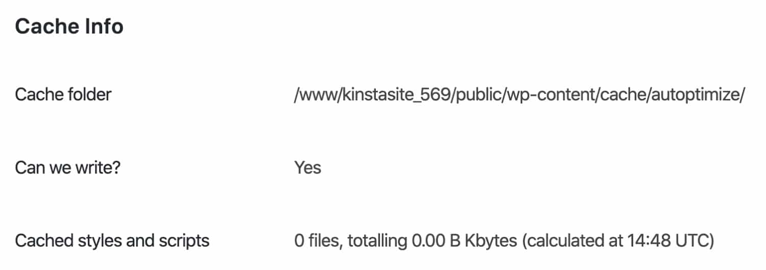 Informations du cache Autoptimize
