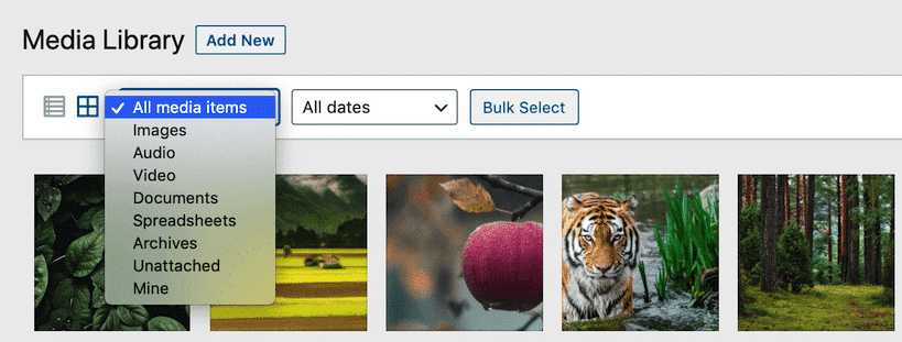 Filtrage des fichiers de la bibliothèque de médias WordPress