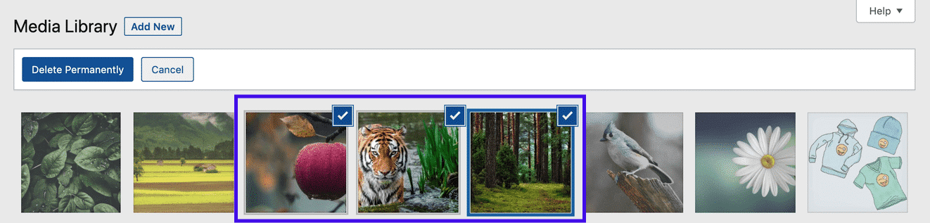 Option de sélection en masse dans la bibliothèque de médias de WordPress