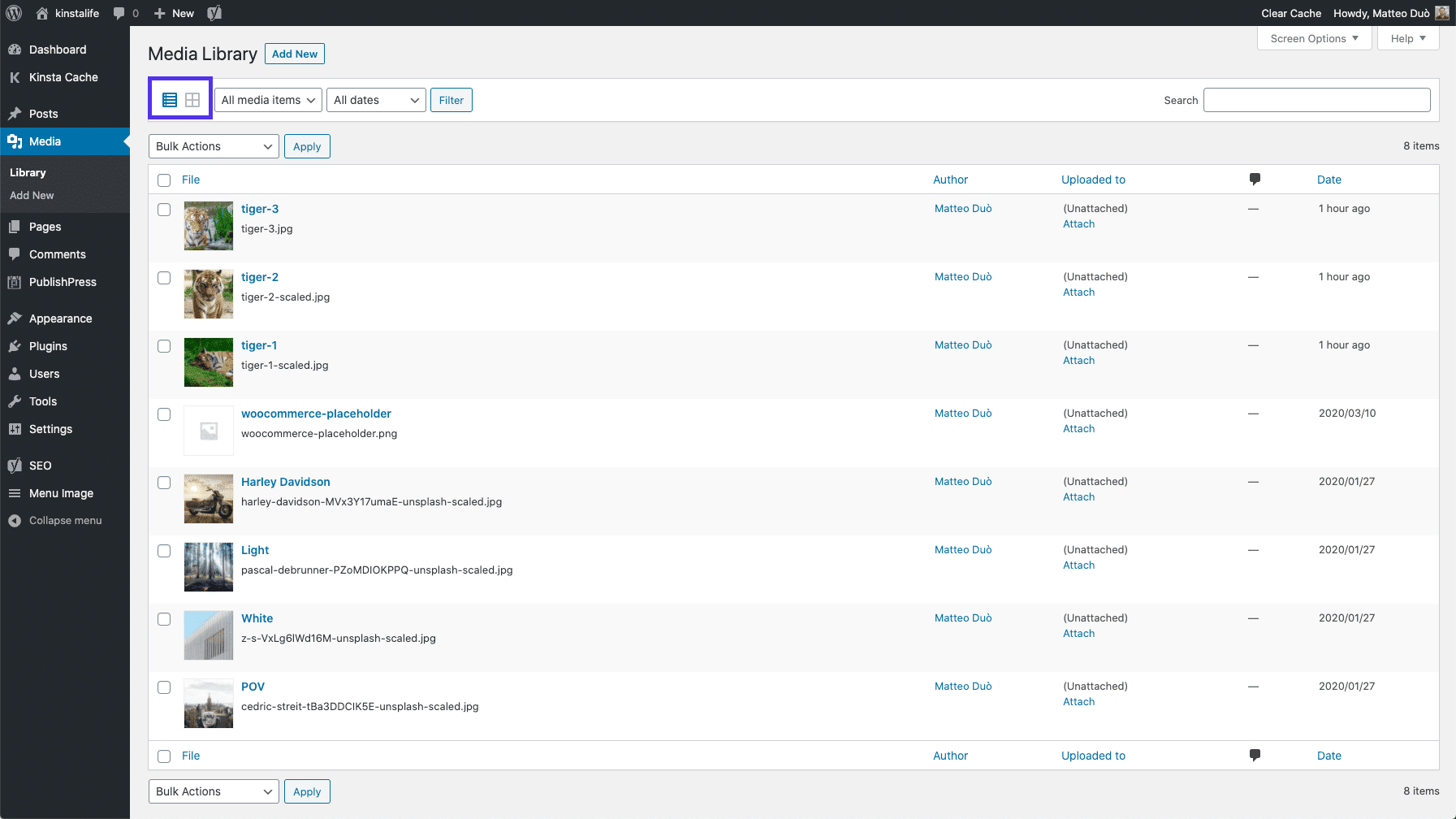 Options de visualisation de la bibliothèque de médias WordPress