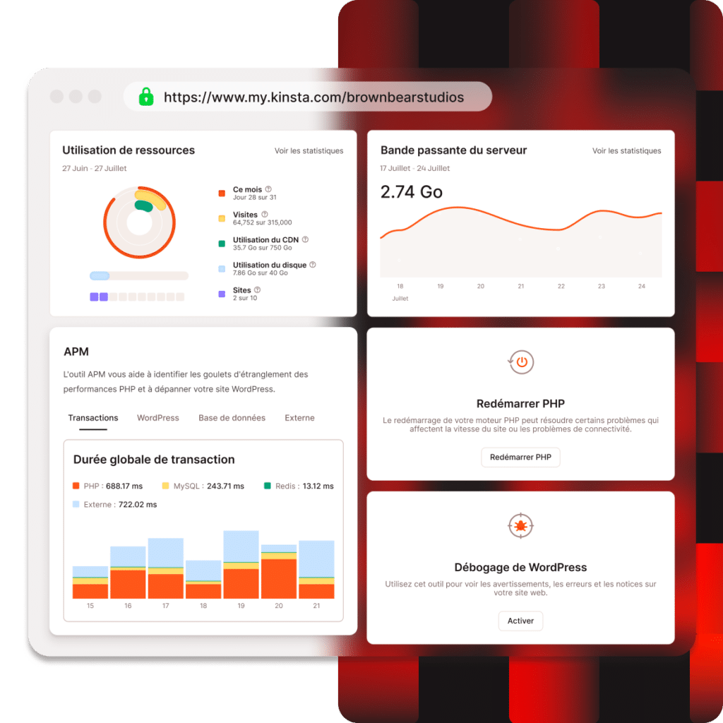 Outils de gestion du tableau de bord MyKinsta
