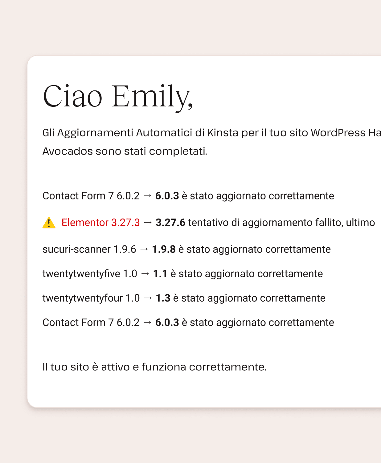 Messaggi di errore per l'aggiornamento di plugin e temi