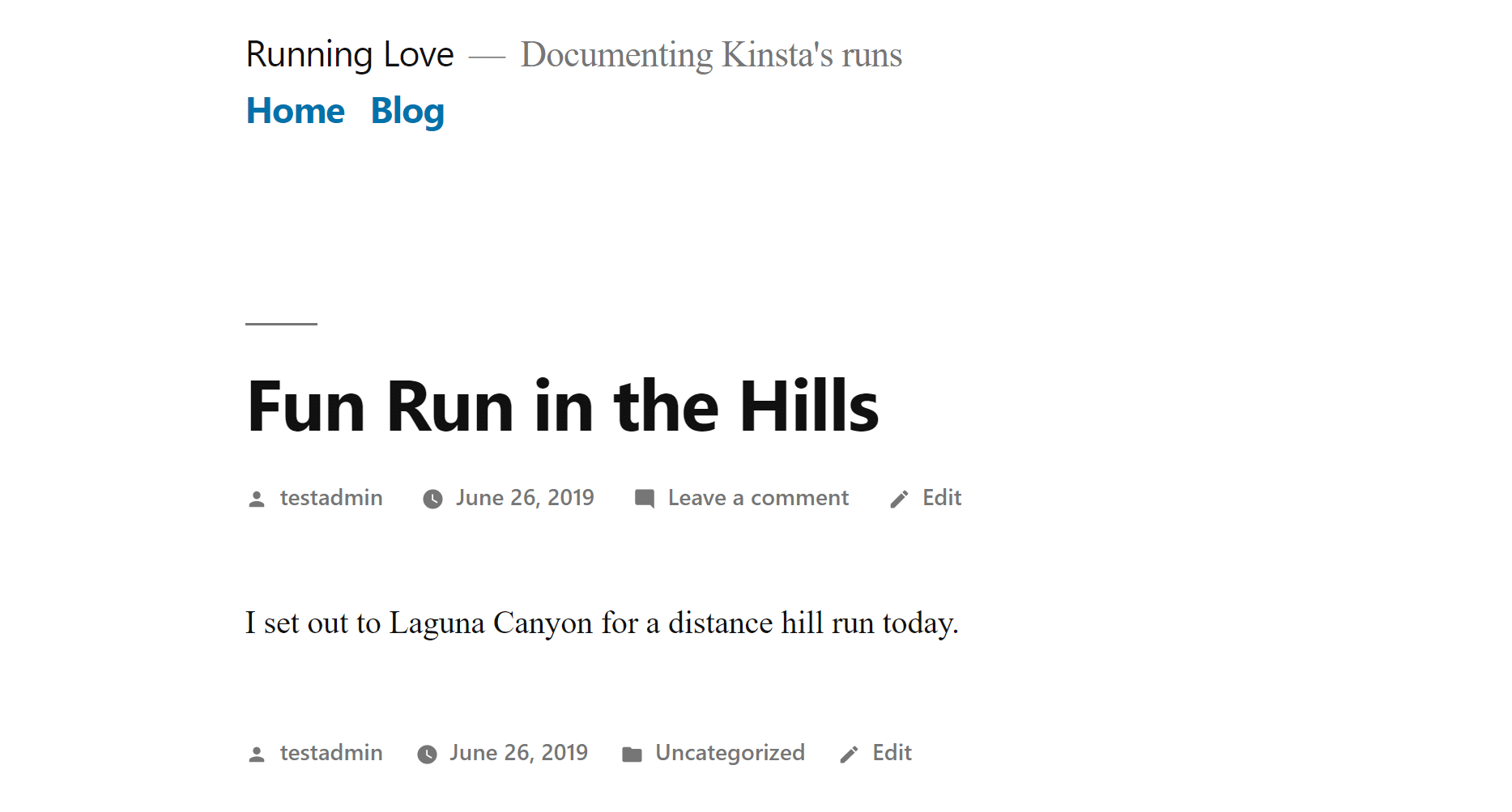 フロントエンドにはカスタムフィールドなし