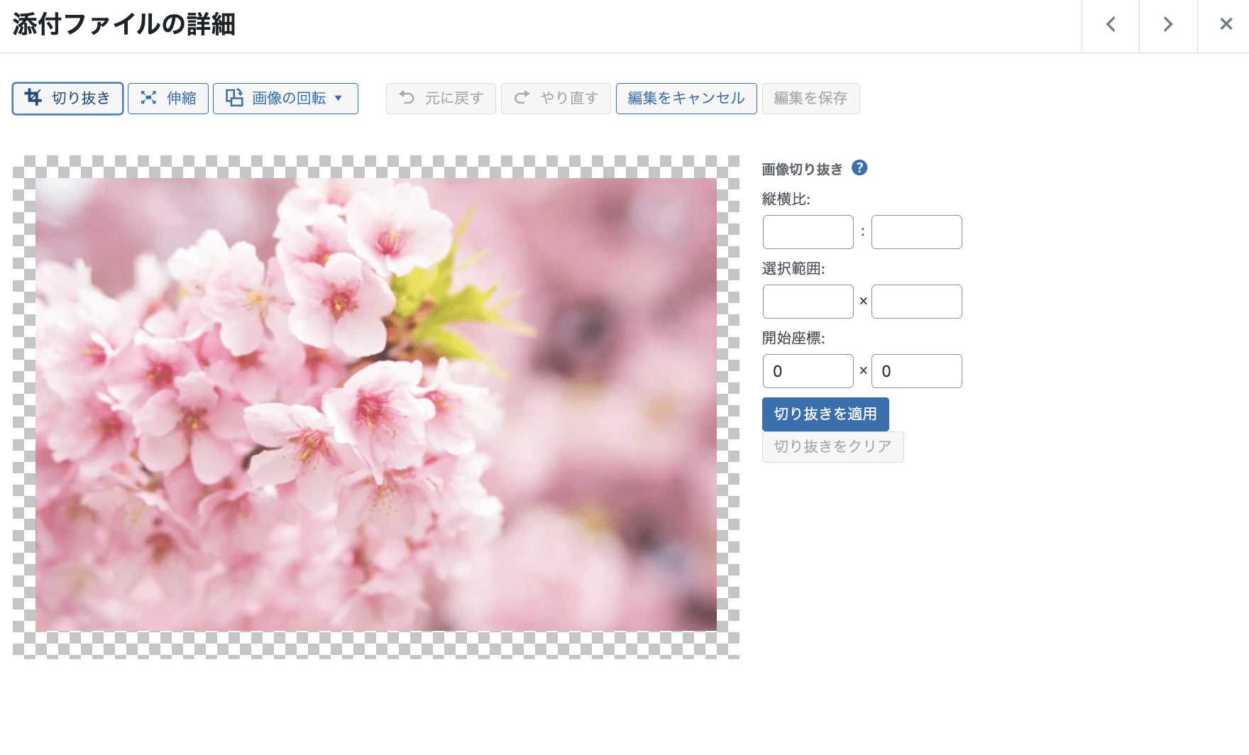 WordPressの画像エディター