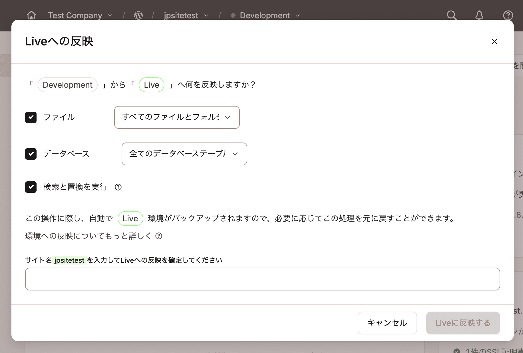 MyKinstaの選択的プッシュ機能