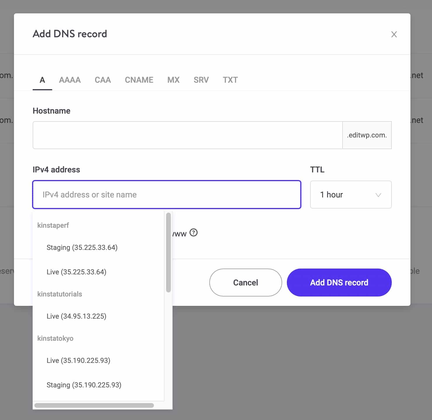 Zoek naar het IP-adres van je site in KinstaDNS.