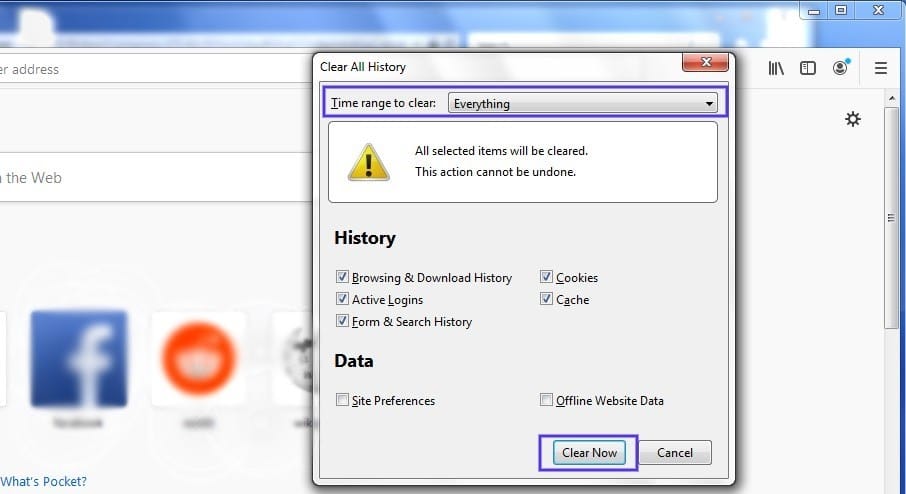 O painel 'Clear History' no Firefox
