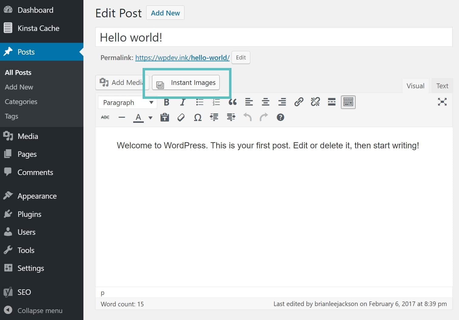 Add Instant Images into post add images instant images
