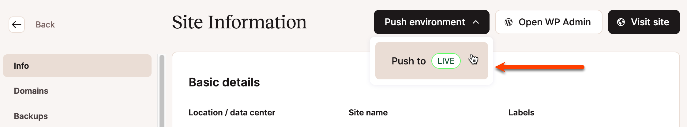 Push test naar live in MyKinsta met Selective Push.