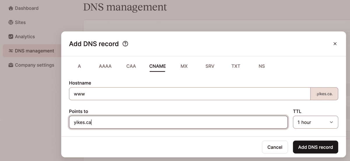 Screenshot of a DNS record being edited in the MyKinsta dashboard.