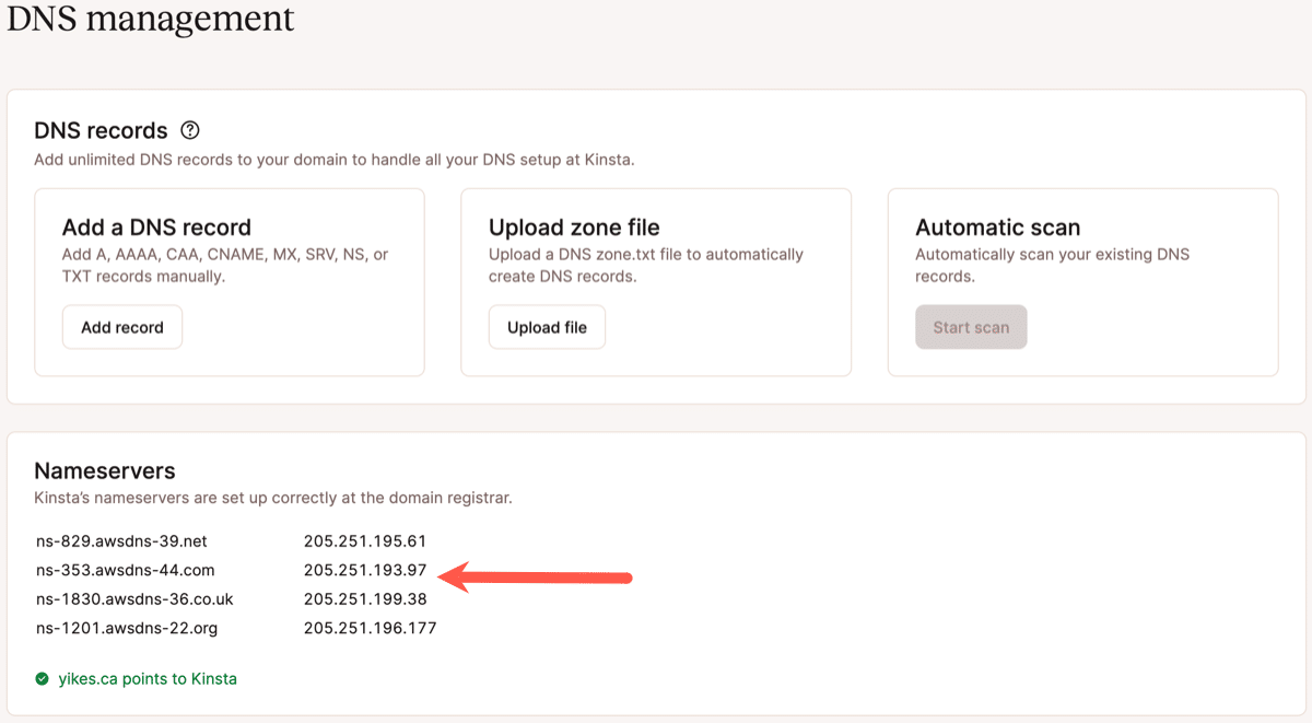 A screenshot of the DNS Management page in the MyKinsta dashboard.