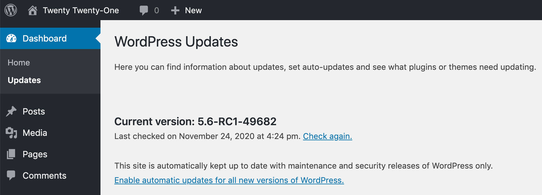 Abilita gli aggiornamenti automatici per tutte le nuove versioni di WordPress.