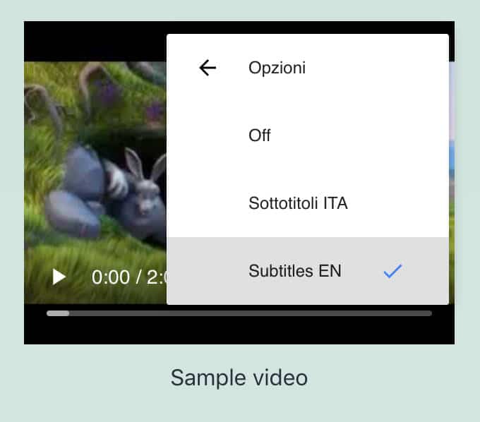 Impostazioni per i sottotitoli video dell’utente