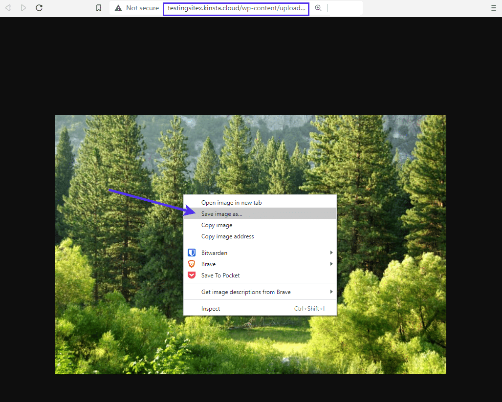 Salvare un'immagine in WordPress.