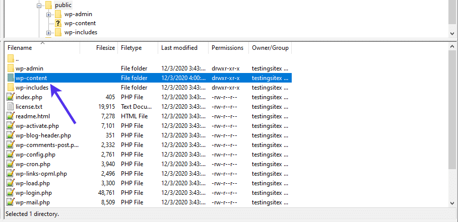 La cartella wp-content contiene i file multimediali.