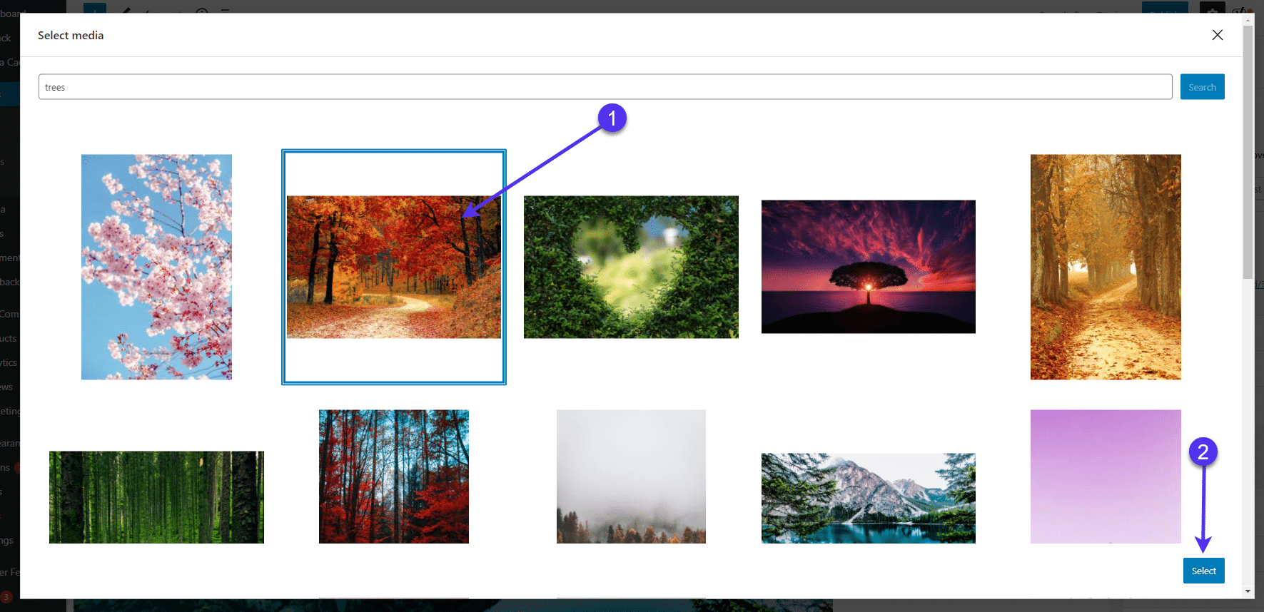Scegliere il supporto e fare clic sul pulsante