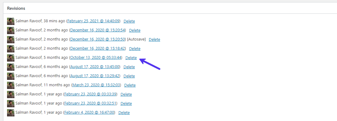 Das Plugin 'Simple Revisions Delete' verwenden