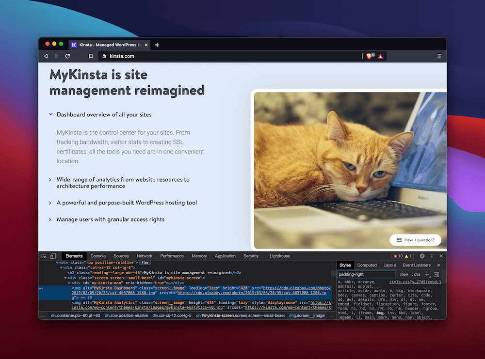 Changing an image on the Kinsta home page In diesem Fall ging die Änderung innerhalb weniger Minuten live (Bildquelle: Pixabay).